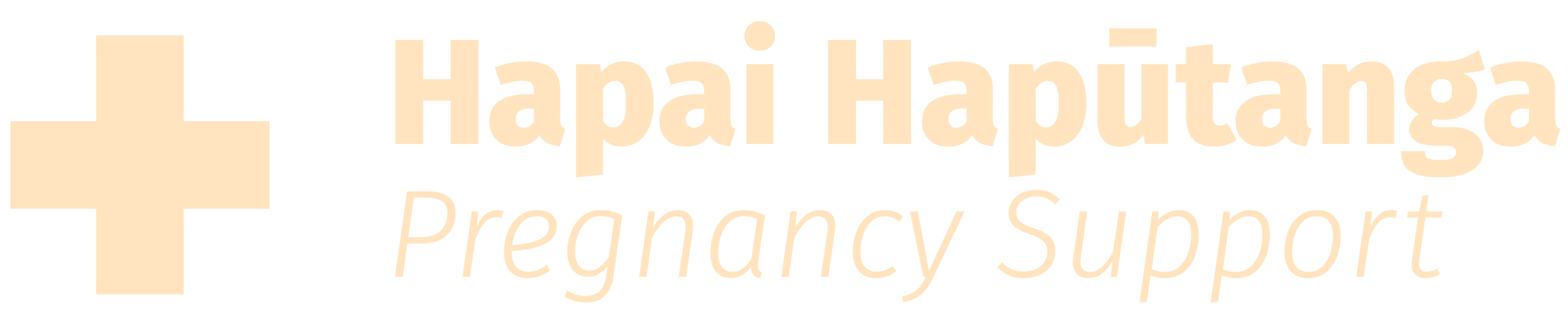 Hapai Taumaha Hapūtanga | Crisis Pregnancy Support